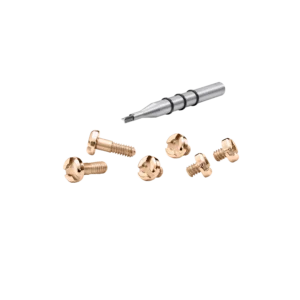 ROSE GOLD BEZEL SCREW SET (FITS SUPERSPORTIVO EVO)